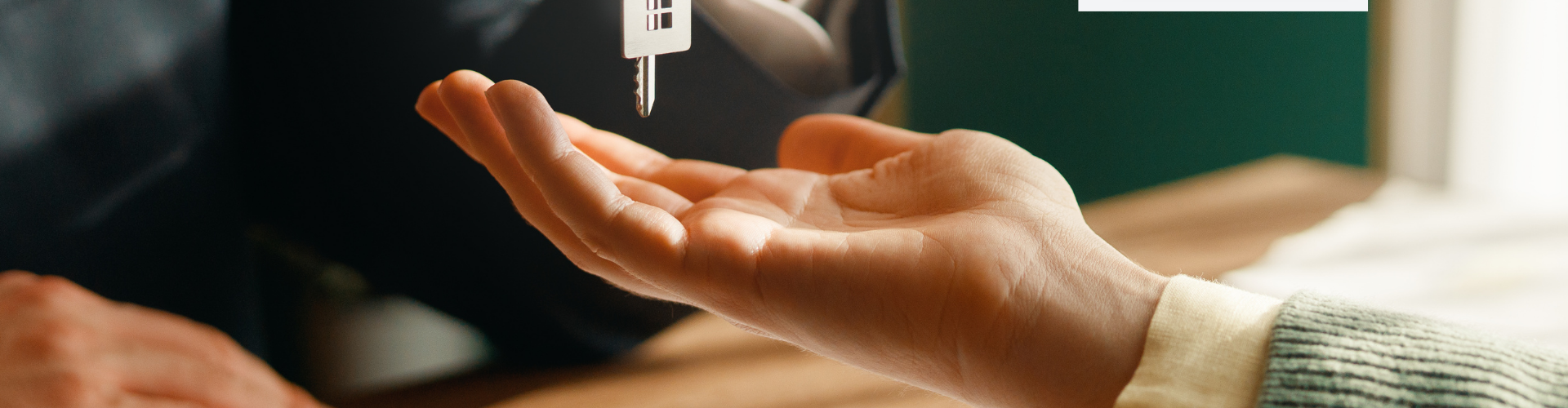 Real Estate Agent | Bella Vista