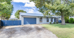 Established Investment Opportunity – Regional SA | Low 500’s